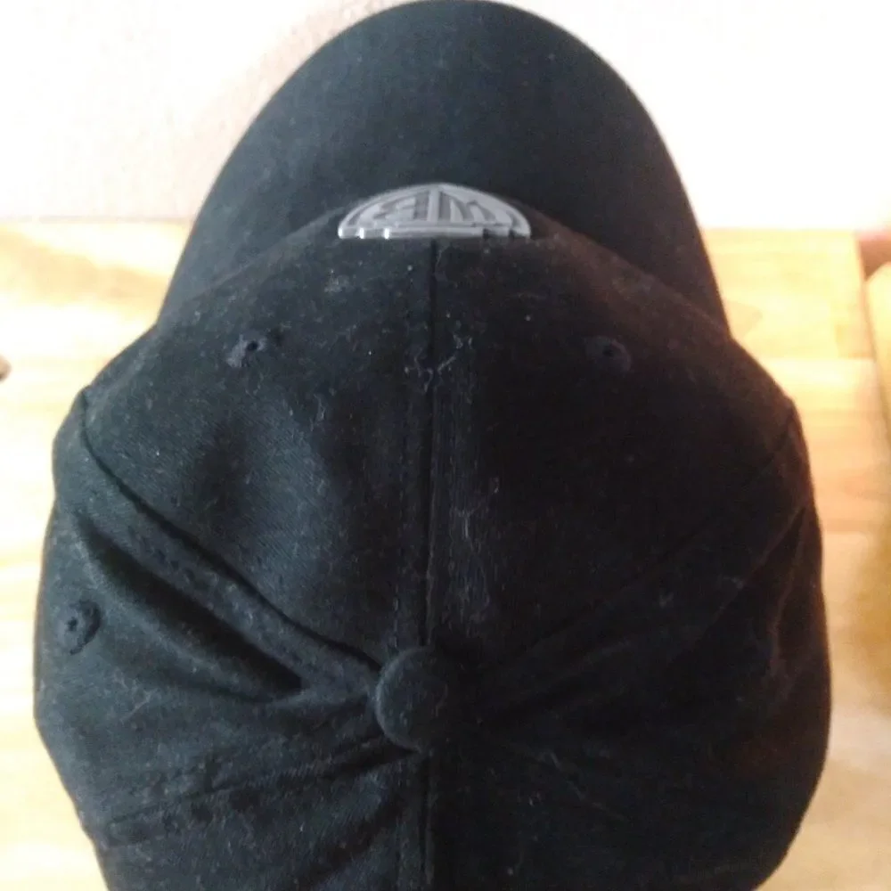RARE 90s Vintage Warner Bros. Pewter Logo Strap Back Hat